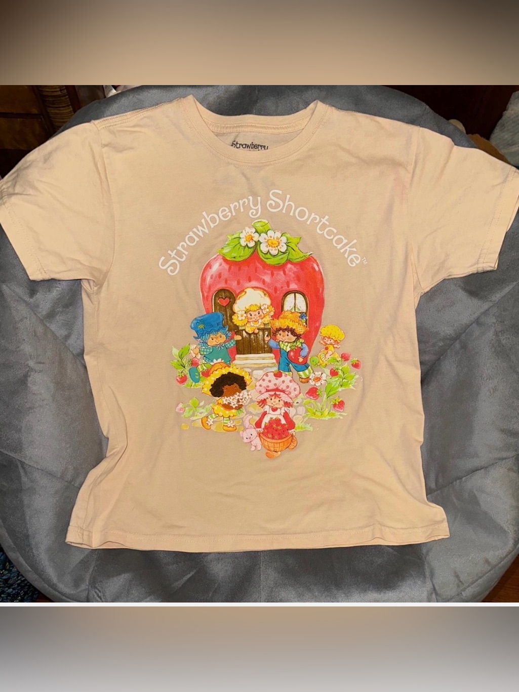 Strawberry Shortcake Brand Tee Shirt
